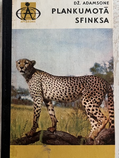 Plankumotā sfinksa