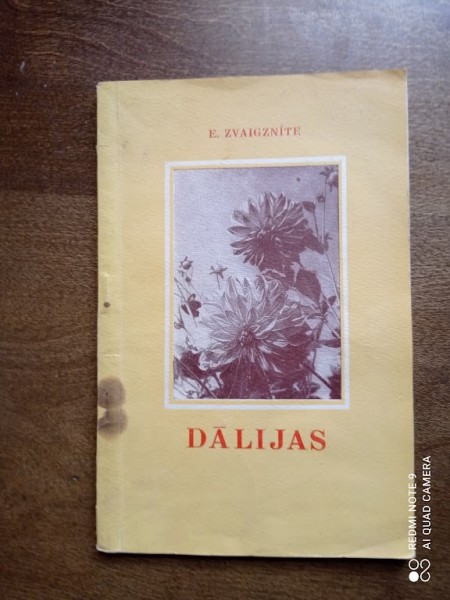 Dālijas