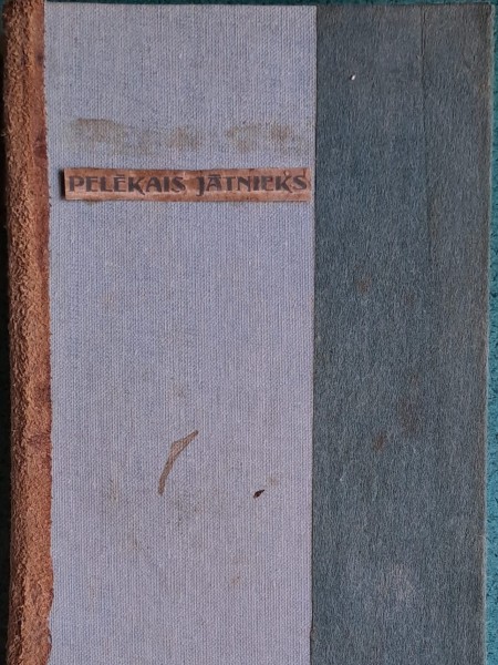 Pelēkais jātnieks