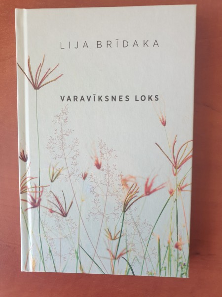 Varavīksnes loks