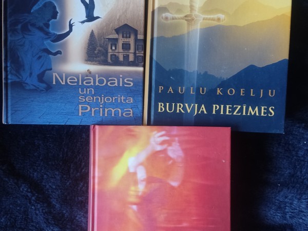 Burvja piezīmes