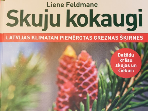 Skuju kokaugi