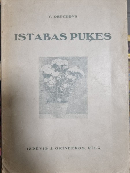 Istabas puķes