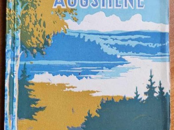 Vidzemes augstiene