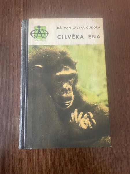 cilvēks ēnā