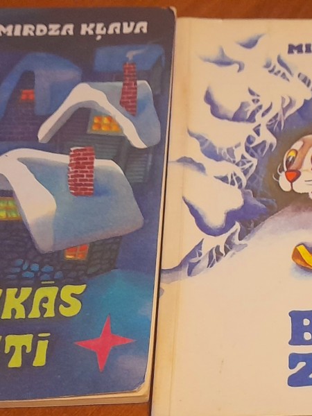Baltā ziema