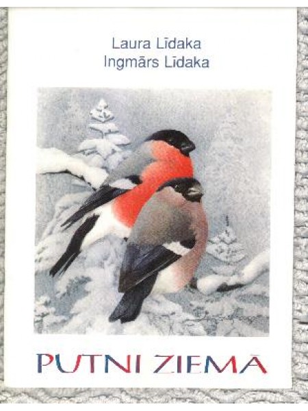 Putni ziemā
