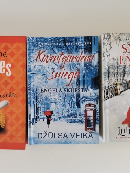 Kamenes sirdī