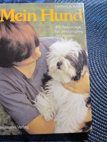 Mein Hund