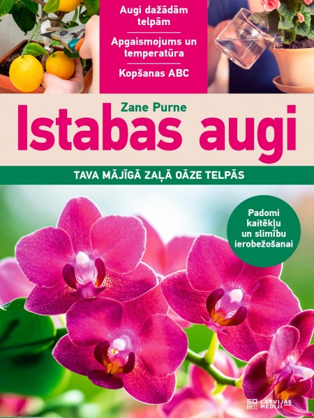 Istabas augi