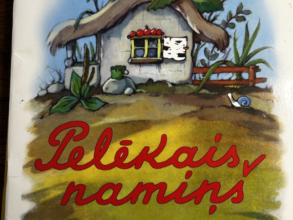 Pelēkais namiņš