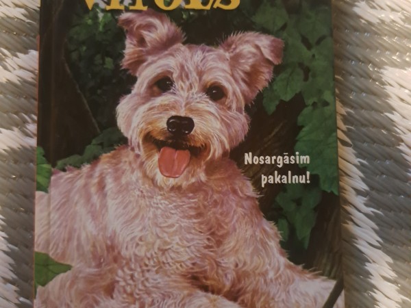 Lieliskais Vītols