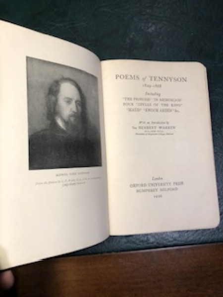 Tenisona dzeja