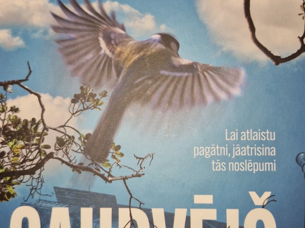 Caurvējš