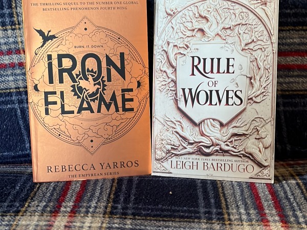 Iron Flame