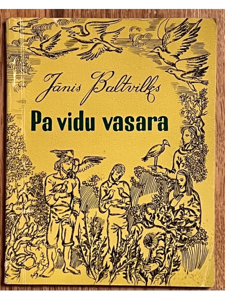 Pa vidu vasara
