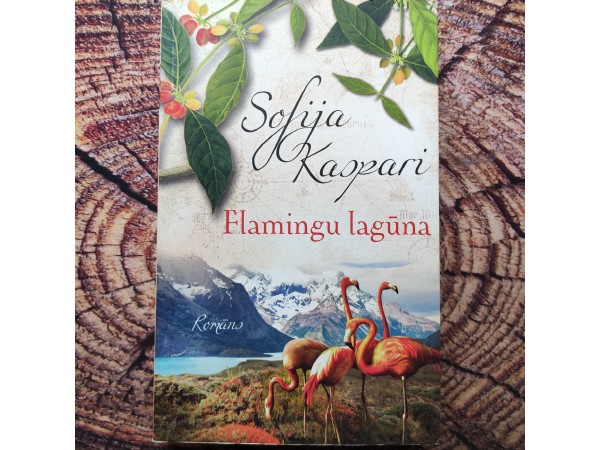 Flamingu lagūna