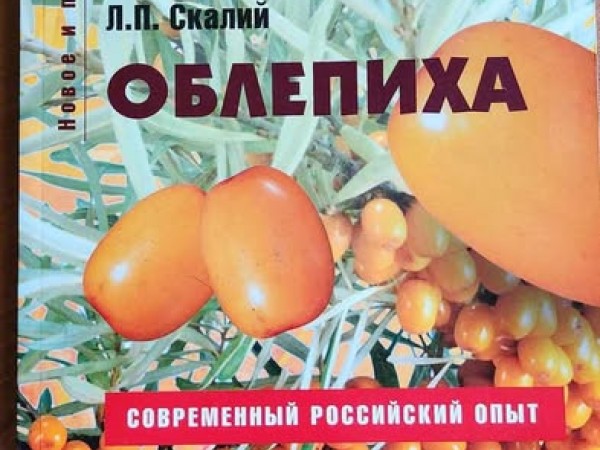 Облепиха