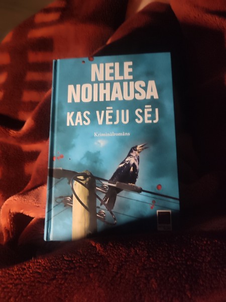 Kas vēju sēj