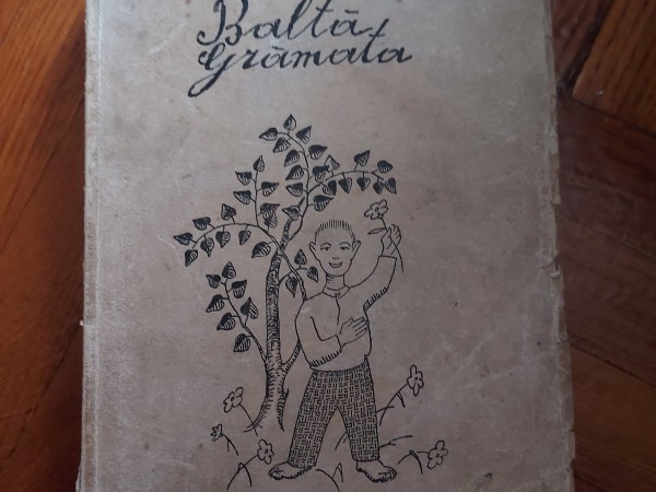 Baltā grāmata