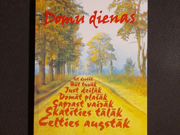Domu dienas
