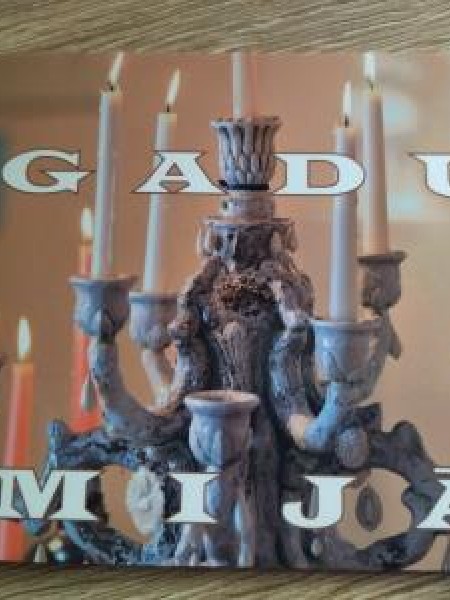 Gadu mijā