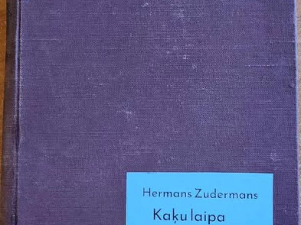Kaķu laipa
