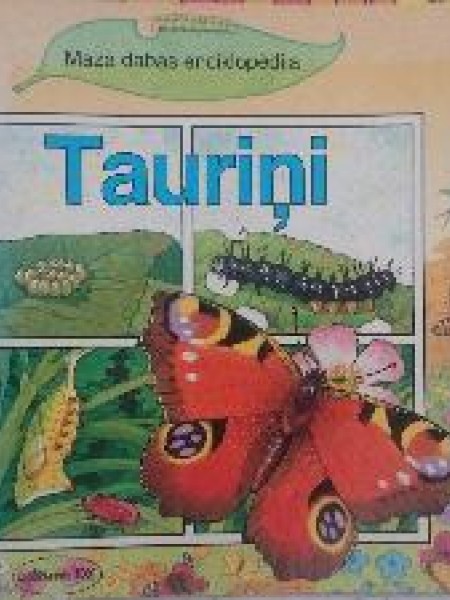 Tauriņi
