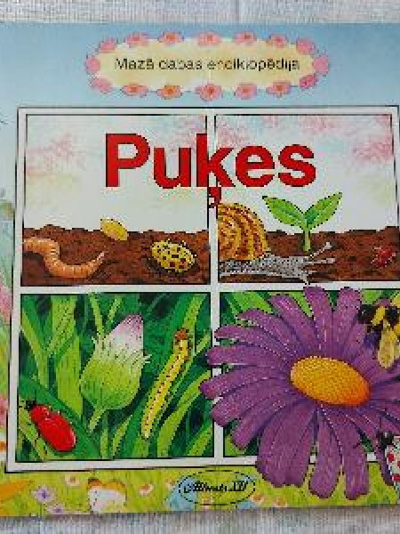 Puķes
