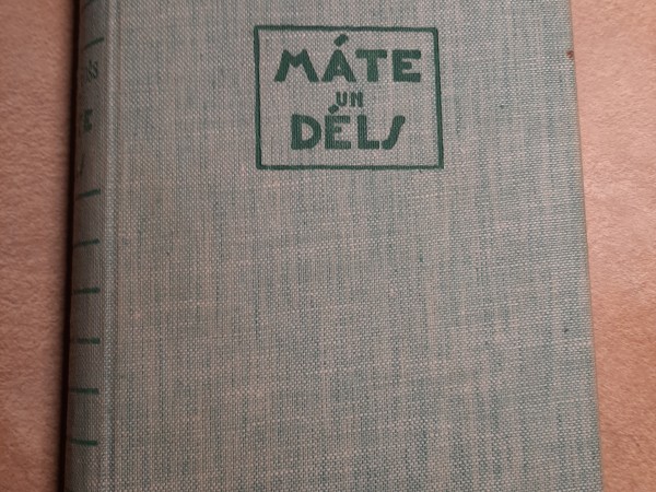 Māte un dēls