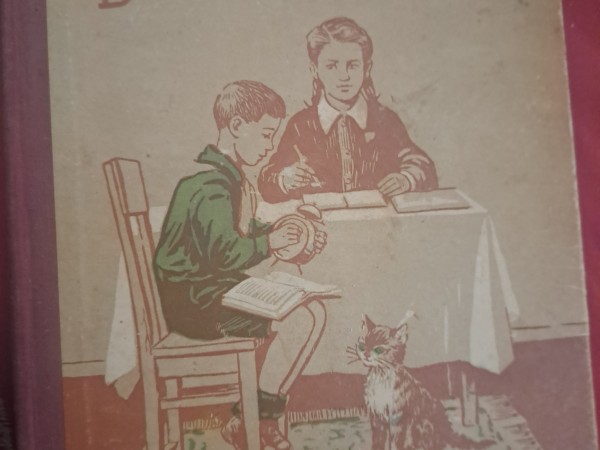 Brīnumzāles