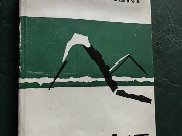 Divi kāpieni