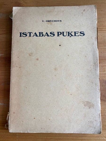 Istabas puķes