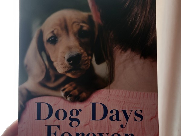 Dog days forever