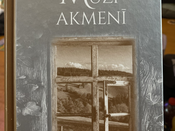Mūži akmenī