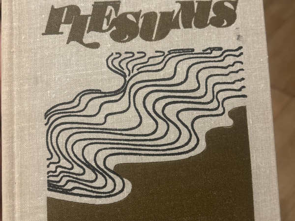Plēsums