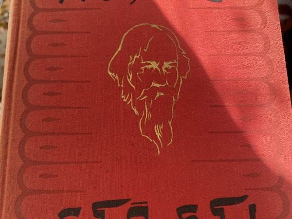Tagore stāsti