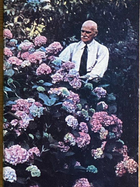 Ziedošais mūžs