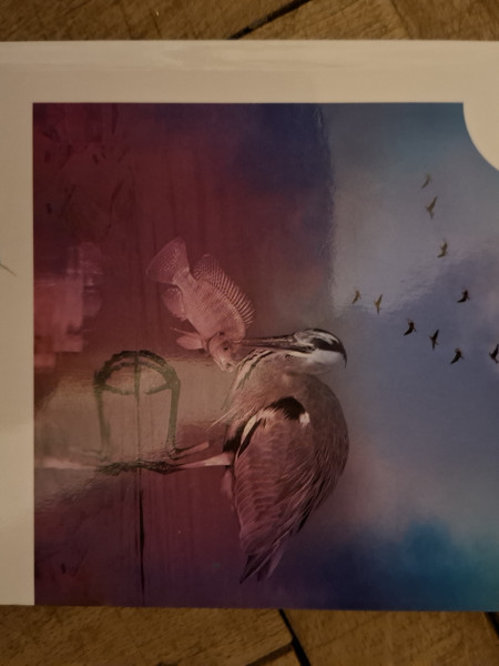 Lidojumam sakļauti spārni