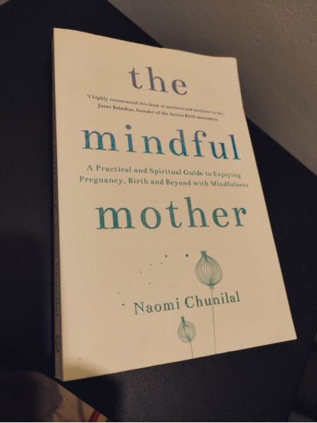 The mindful mother