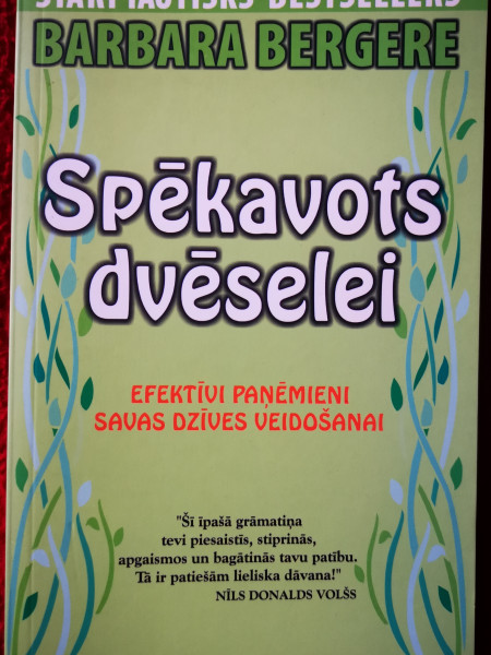 Spēkavots dvēselei. Efektīvi paņēmieni savas dzīves veidošanai