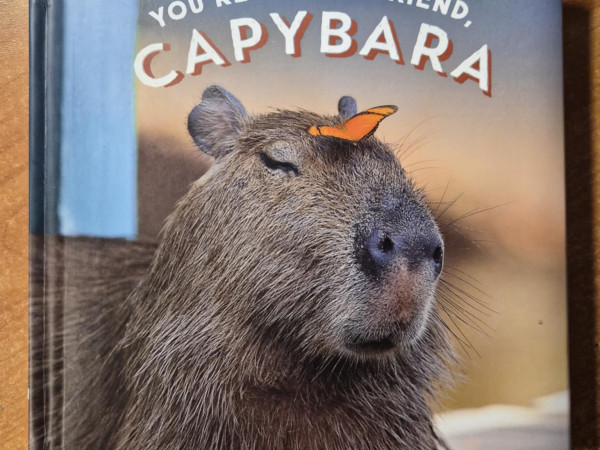 You`re a good friend, Capybara