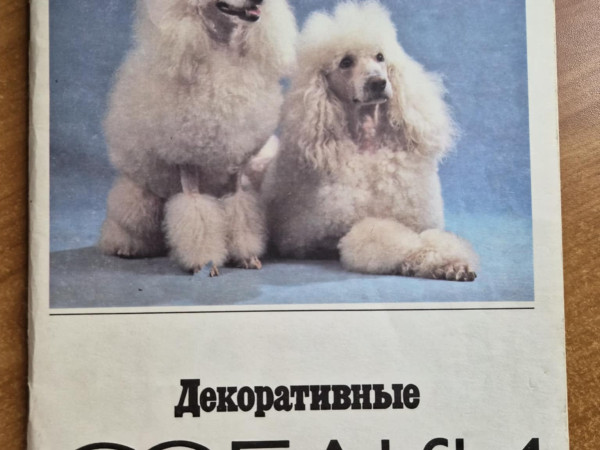 Декоративные собаки