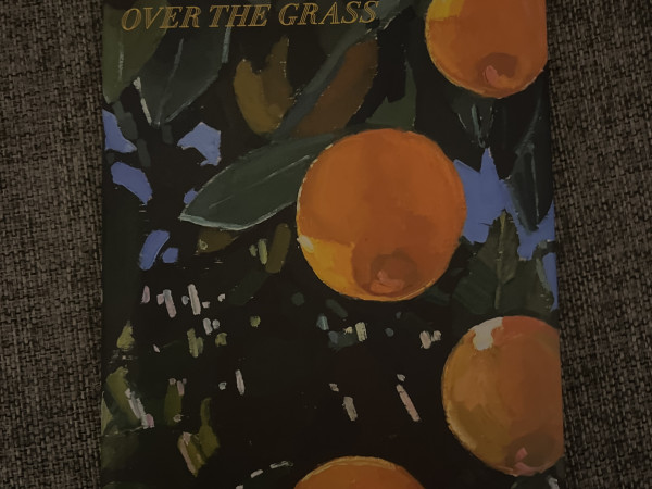 violets bent backwards over the grass