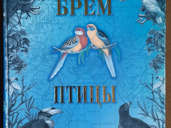 Птицы. Том 1