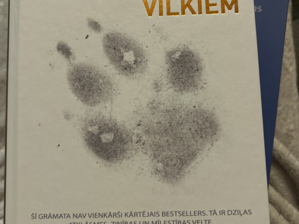 Sievietes kuras skrien