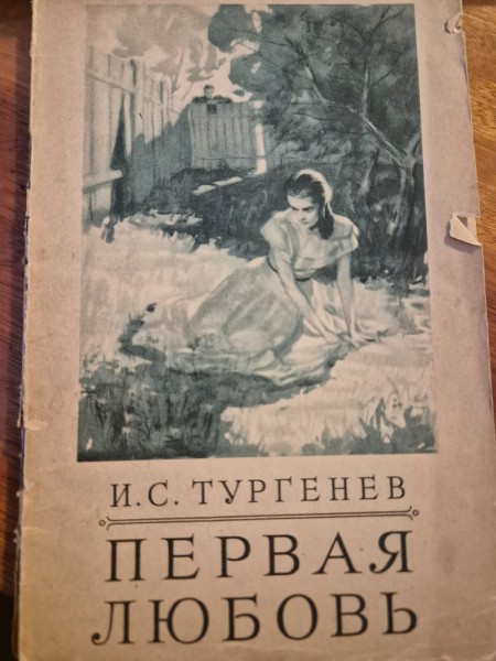 Первая любовь