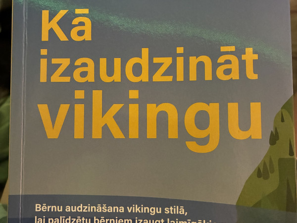 Kā izaudzināt vikingu