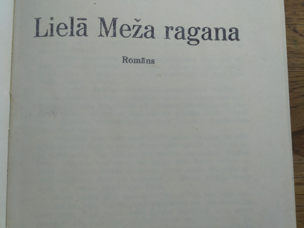 Lielā meža ragana