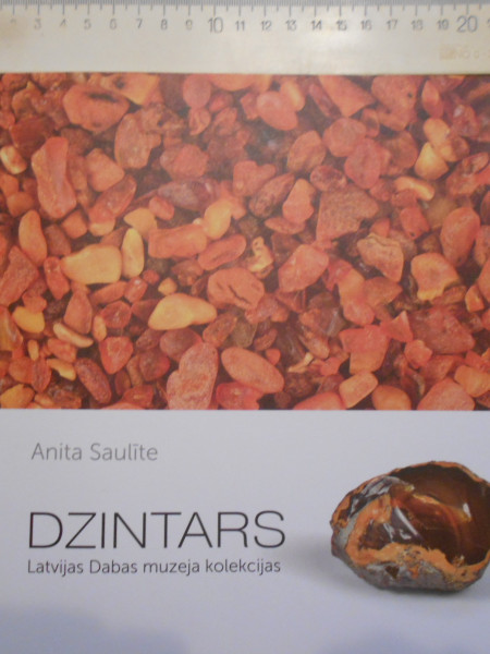 Dzintars Latvijas Dabas muzeja kolekcijas.